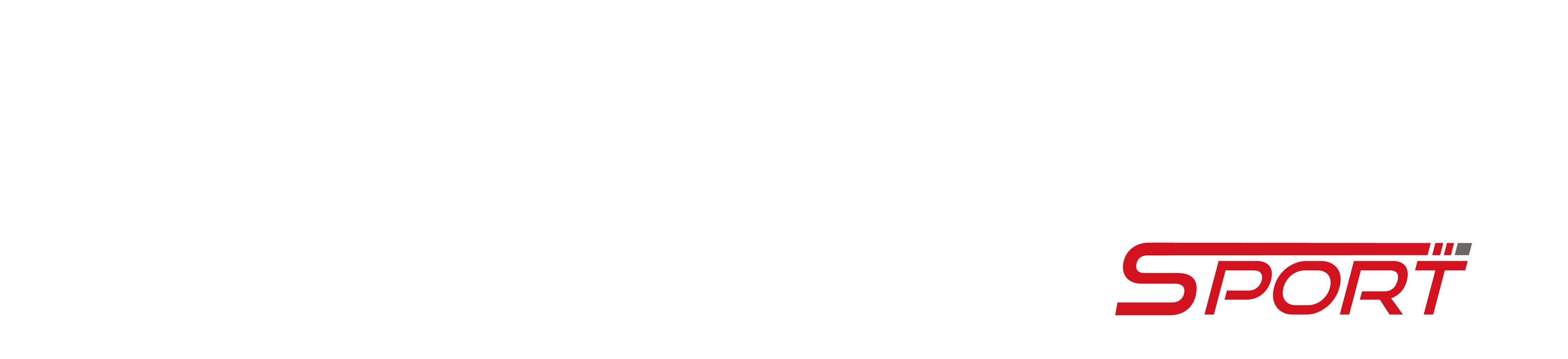 Sabecort Sport